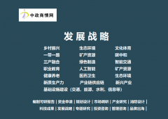2025-2031年全球及中国南非投资现状阐发及