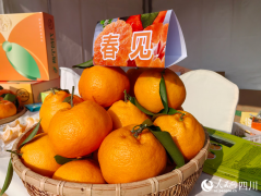 蒲江推出“万果博览荟”打制全球生果业