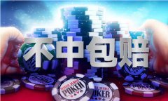 二四六一246cn246V
