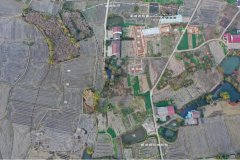 实锤！这里的先平易近8000多年前就正在种